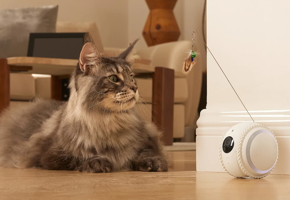 best pet indoor camera