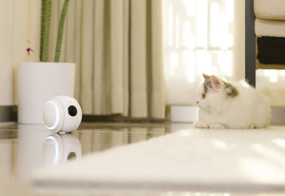 camera to watch pets at home