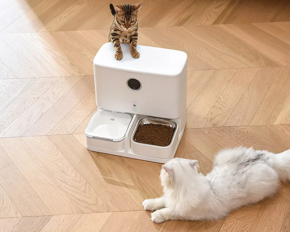 wifi automatic pet feeder