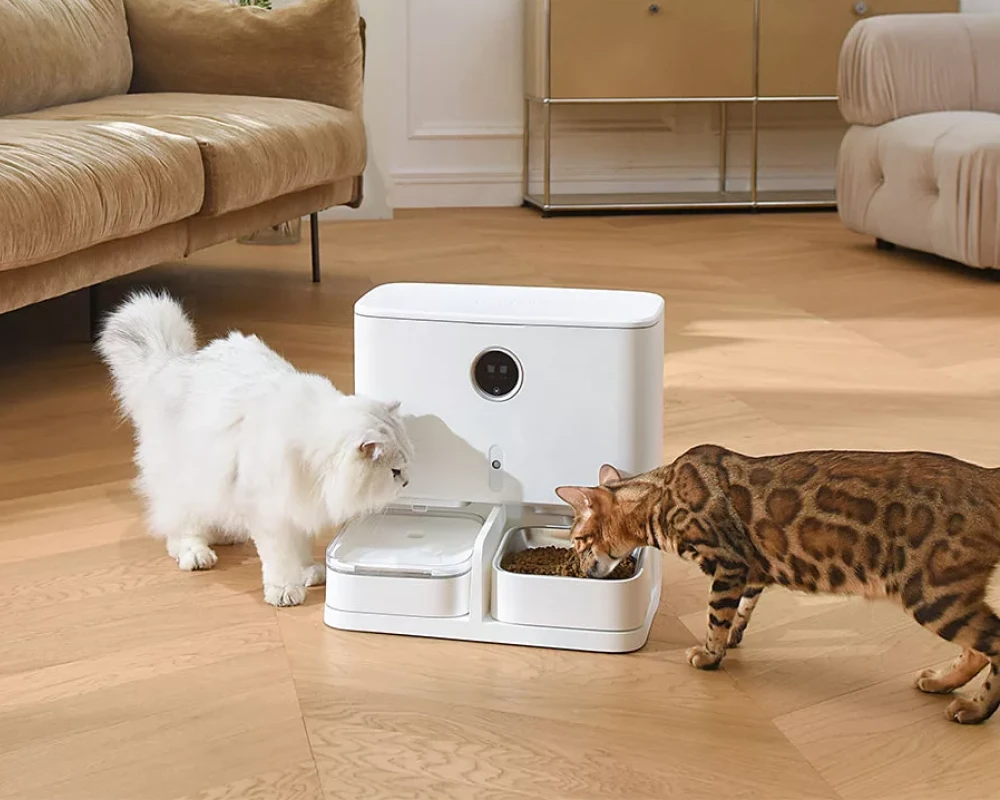 wifi automatic pet feeder