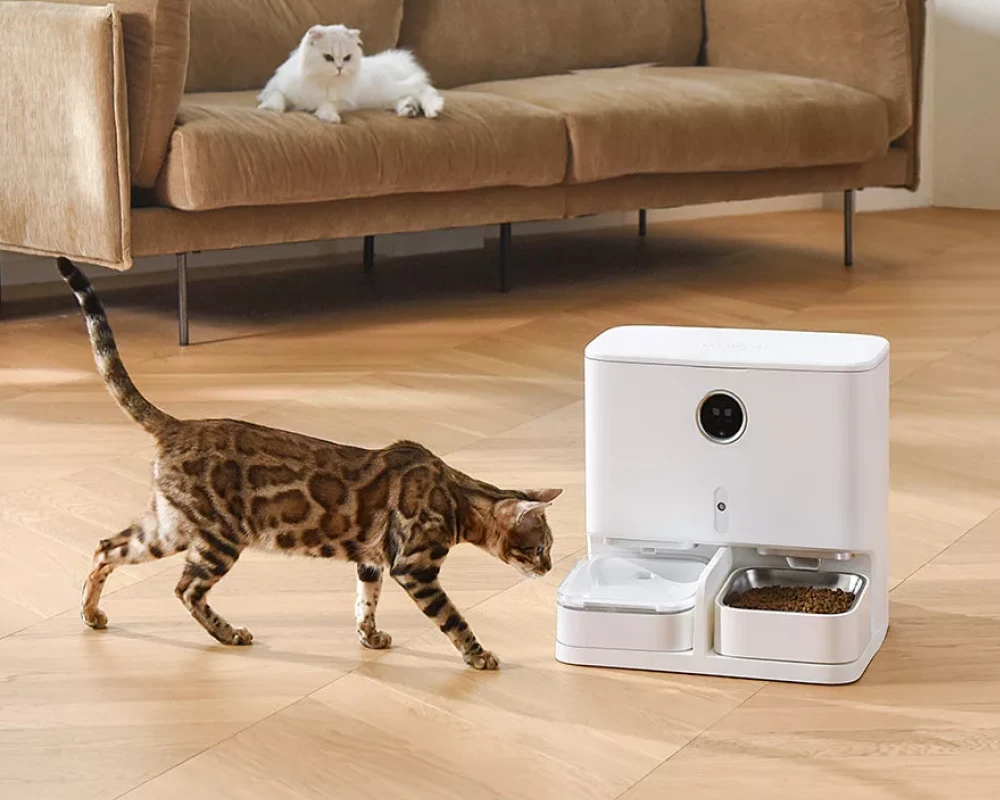 automatic pet feeder and water